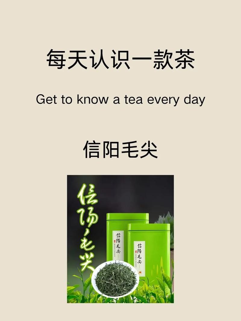 吉林毛尖茶叶厂家招商指南