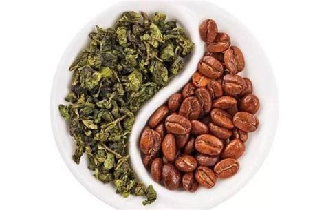 茶叶加蜜蜂的功效